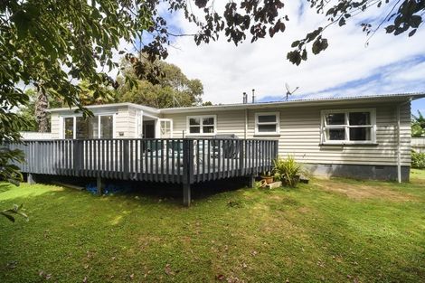 Photo of property in 39 Macarthur Street, Levin, 5510