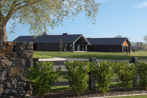 Photo of property in 7 Orchard Place, Matamata, 3472