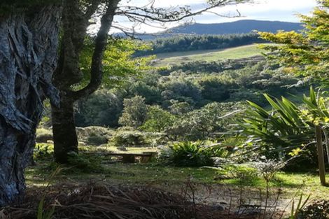 Photo of property in 350 Te Tahi Road, Puketotara, Te Awamutu, 3876