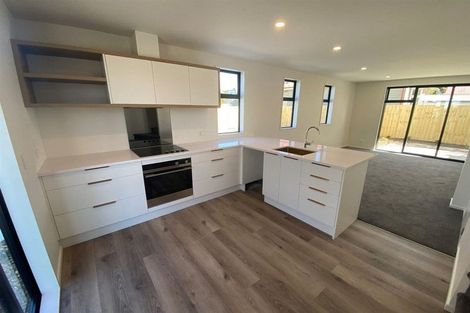 Photo of property in 2/35 Percy Street, Phillipstown, Christchurch, 8011