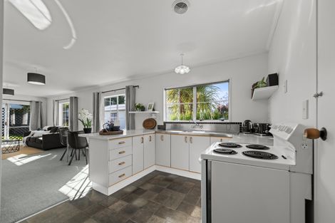 Photo of property in 10a Ihle Street, Terrace End, Palmerston North, 4410