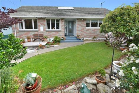 Photo of property in 20 Shulma Street, Abbotsford, Dunedin, 9018