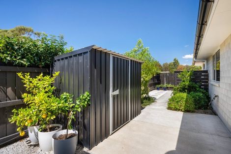 Photo of property in 55 Grigg Drive, Witherlea, Blenheim, 7201