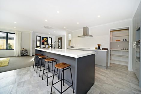 Photo of property in 19 Te Aparangi Crescent, Papakura, 2110