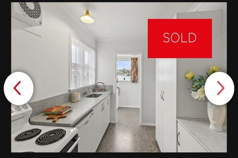 Photo of property in 9 Ely Place, Levin, 5510