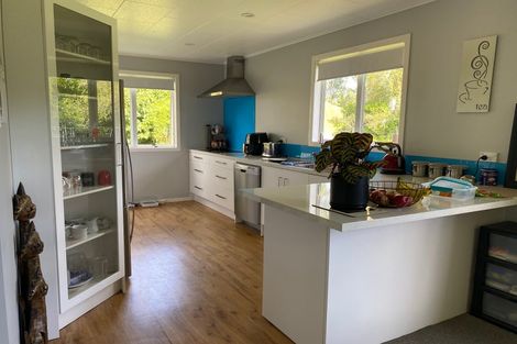 Photo of property in 206 Hoeka Road, Matangi, Hamilton, 3284