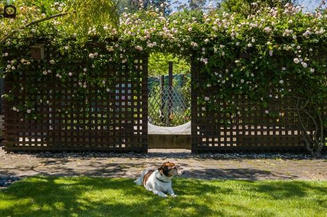 Photo of property in 5 Forest Park Lane, Whataupoko, Gisborne, 4010