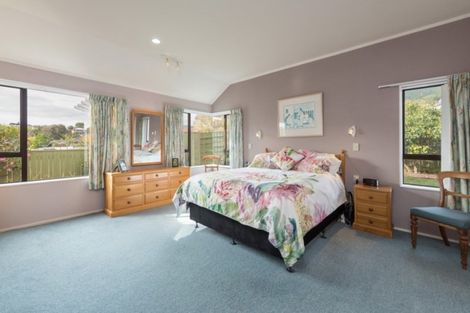 Photo of property in 17 Chelsea Avenue, Richmond, 7020