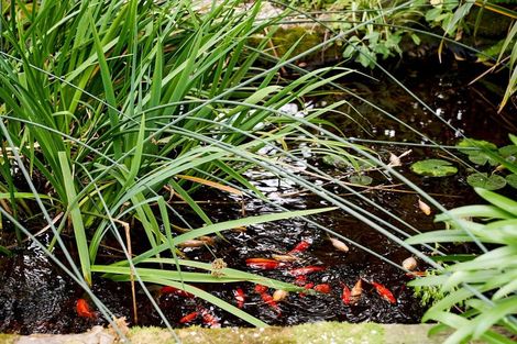 Photo of property in 110 School Road, Te Horo, Otaki, 5582