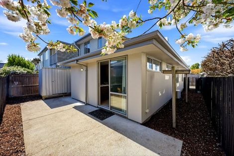 Photo of property in 5/82 Southampton Street, Sydenham, Christchurch, 8023