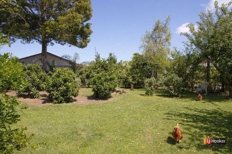 Photo of property in 1 Kitchener Street, Waihi, 3610