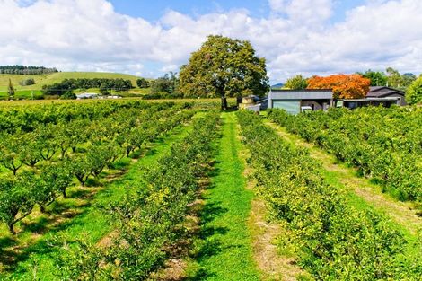 Photo of property in 134 Kaimoe Road, Patutahi, Gisborne, 4072