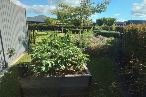 Photo of property in 46 Plescher Crescent, Leamington, Cambridge, 3432