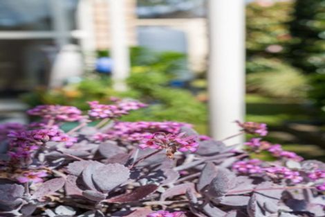 Photo of property in 8 Espalier Drive, Henderson, Auckland, 0612