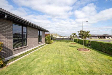 Photo of property in 5 Costello Drive, Ngatea, 3503