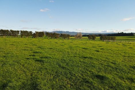 Photo of property in 99 Old School Road, Ngahinapouri, Ohaupo, 3290