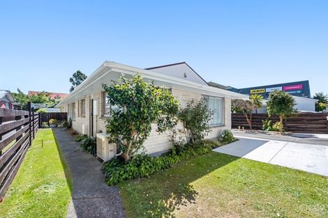 Photo of property in 19 Bloomfield Terrace, Hutt Central, Lower Hutt, 5010