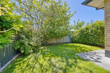 Photo of property in 31 Fairview Place, Havelock North, 4130