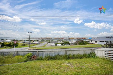 Photo of property in 256 Barrow Street, Bluff, 9814