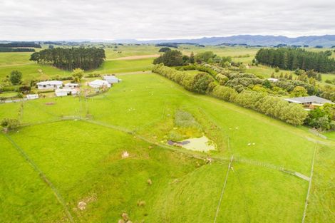 Photo of property in 828 Colyton Road, Bunnythorpe, Feilding, 4775