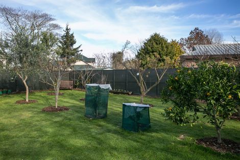 Photo of property in 19 Cowley Drive, Leamington, Cambridge, 3432