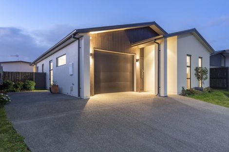 Photo of property in 14 Eden Crescent, Brookfield, Tauranga, 3110