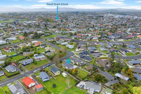 Photo of property in 17 Sain Crescent, Morrinsville, 3300