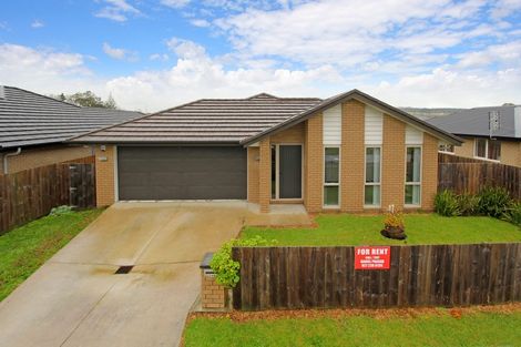 Photo of property in 248 Victoria Street West, Pukekohe, 2120