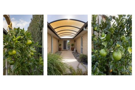 Photo of property in 17 Lynley Park Drive, Omokoroa, 3114