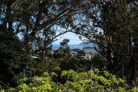Photo of property in 49 Every Street, Andersons Bay, Dunedin, 9013
