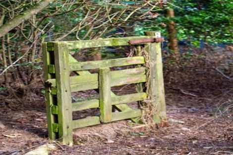 Photo of property in 598c Wright Road, Aongatete, Katikati, 3181