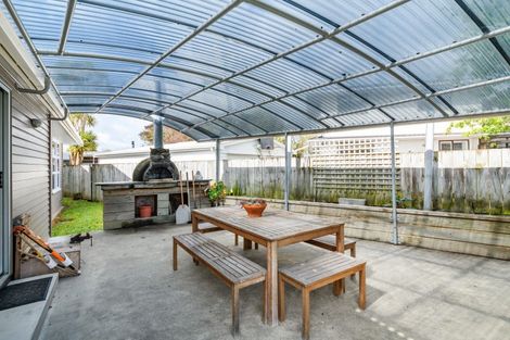 Photo of property in 17 Patea Place, Terrace End, Palmerston North, 4410