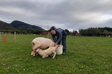 Photo of property in 23 Rameka Creek Road, Motupipi, Takaka, 7183