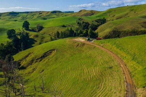 Photo of property in 1658 Ruapekapeka Road, Kawakawa, 0182