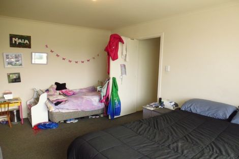 Photo of property in 1006a Konini Street, Mahora, Hastings, 4120