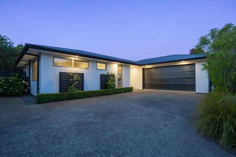 Photo of property in 115a Te Awe Awe Street, Hokowhitu, Palmerston North, 4410