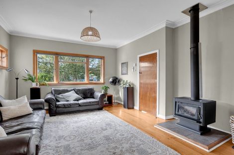 Photo of property in 176 Mahoe Street, Melville, Hamilton, 3206