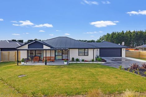 Photo of property in 61 Hilton Drive, Amberley, 7410