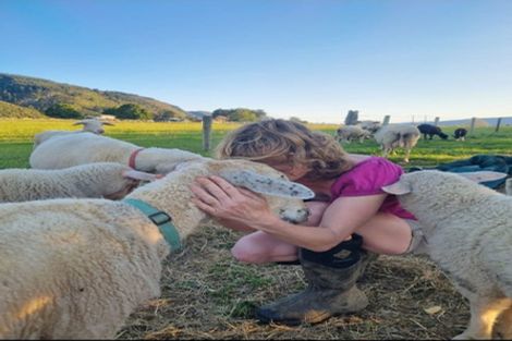 Photo of property in 23 Rameka Creek Road, Motupipi, Takaka, 7183