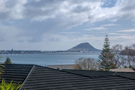 Photo of property in 343 Maungatapu Road, Maungatapu, Tauranga, 3112