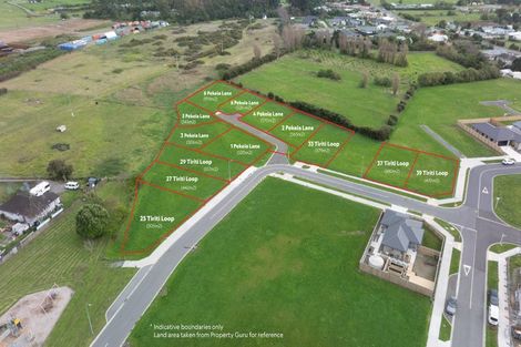 Photo of property in 39 Tiriti Loop, Otaki, 5512