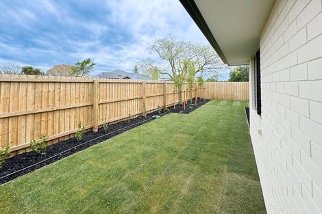 Photo of property in 18b Morrison Avenue, Elgin, 7772