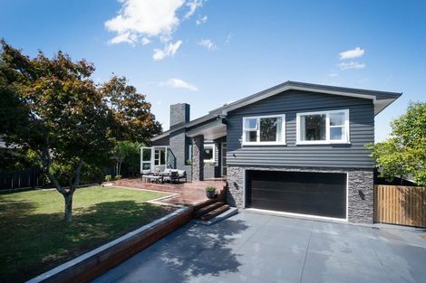 Photo of property in 451 Albert Street, Hokowhitu, Palmerston North, 4410