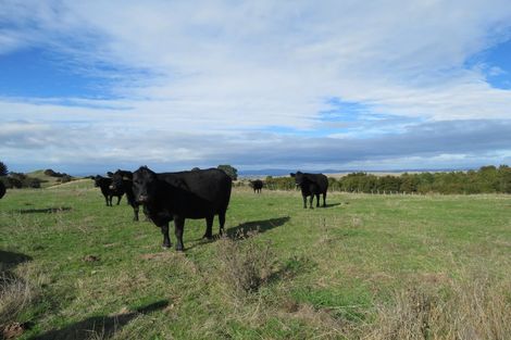 Photo of property in 507 Apley Road, Puketapu, Napier, 4184