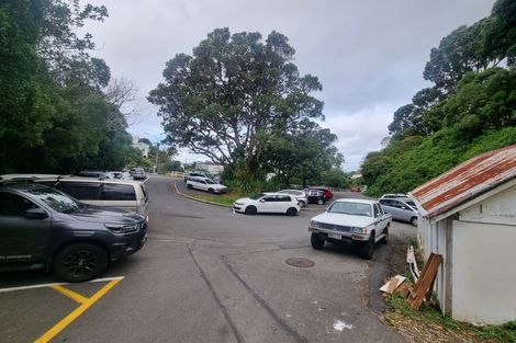 Photo of property in 68 Raroa Road, Kelburn, Wellington, 6012