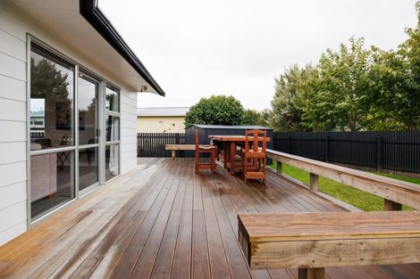 Photo of property in 12 Capri Place, Awapuni, Palmerston North, 4412