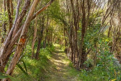 Photo of property in 368 Kaimarama Road, Kaimarama, Whitianga, 3591