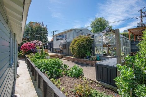 Photo of property in 8 Berwick Street, Wakari, Dunedin, 9010