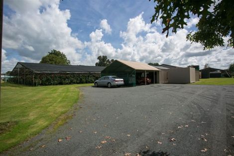 Photo of property in 25 Mcgowan Street, Waharoa, 3401