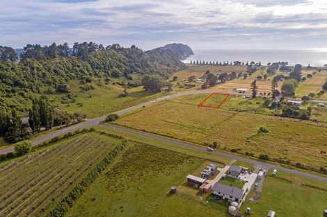 Photo of property in 5 Cook Street, Te Hapara, Gisborne, 4010